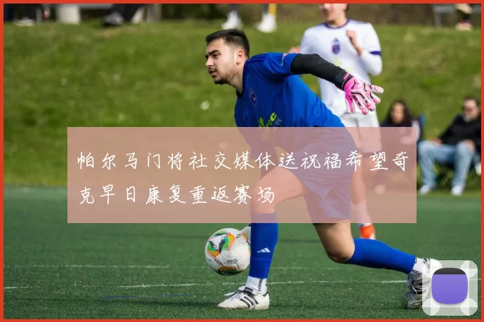 帕尔马门将社交媒体送祝福希望奇克早日康复重返赛场