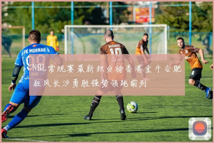 NBL常规赛最新积分榜香港金牛合肥狂风长沙勇胜强势领跑前列