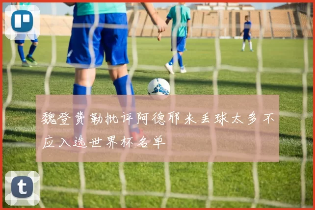 魏登费勒批评阿德耶米丢球太多不应入选世界杯名单